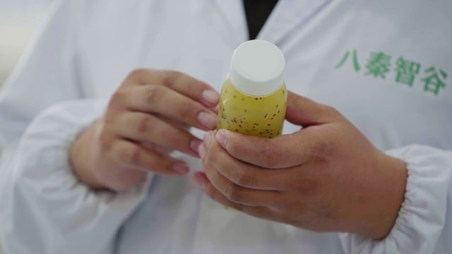 果汁鲜活营养保留+冷灭菌解决方案应用于陕西八秦智谷农业科技有限公司猕猴桃汁保鲜与规模化开发项目